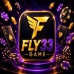 FLY33 GAME