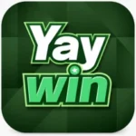 YAYWIN GAME